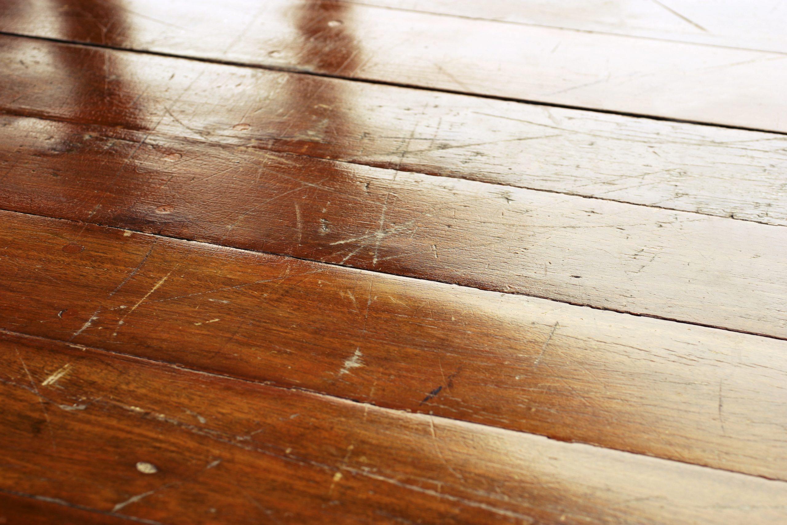 Why Are My Hardwood Floors Cupping, Buckling, or Warping? 1